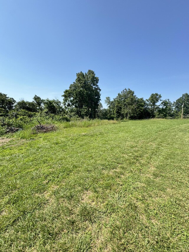12 Willhoit Ln, Theodosia, MO 65761 - view of grassy yard