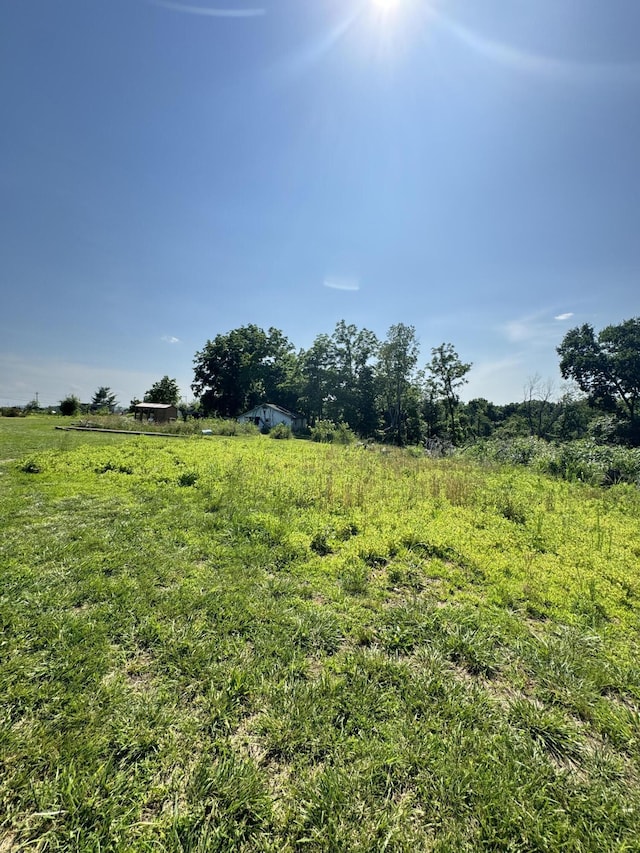 12 Willhoit Ln, Theodosia, MO 65761 - view of yard with a view of rural / pastoral area