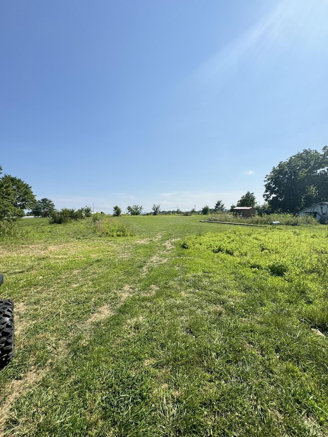 12 Willhoit Ln, Theodosia, MO 65761 - view of yard featuring a rural view