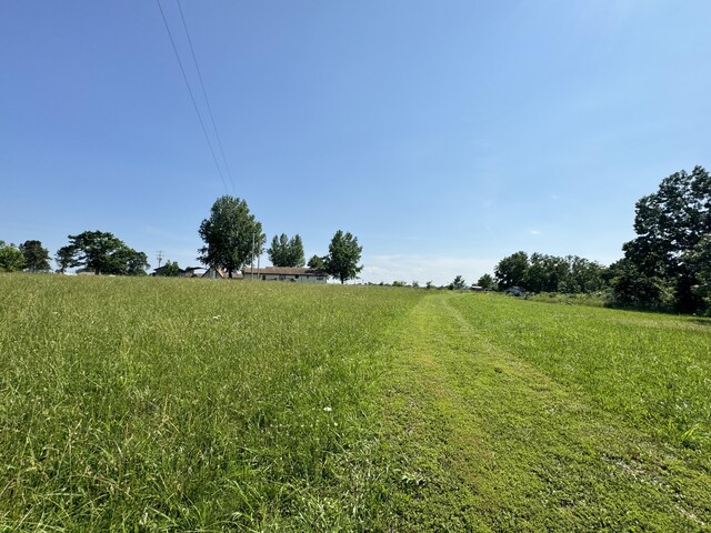 12 Willhoit Ln, Theodosia, MO 65761 - view of yard with a rural view