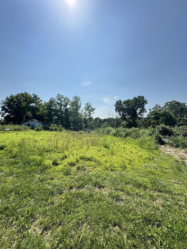 12 Willhoit Ln, Theodosia, MO 65761 - view of undeveloped land featuring rural landscape