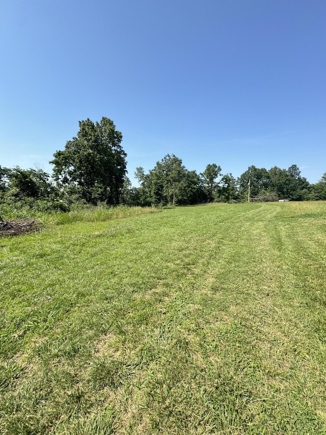 12 Willhoit Ln, Theodosia, MO 65761 - view of green lawn with a view of countryside
