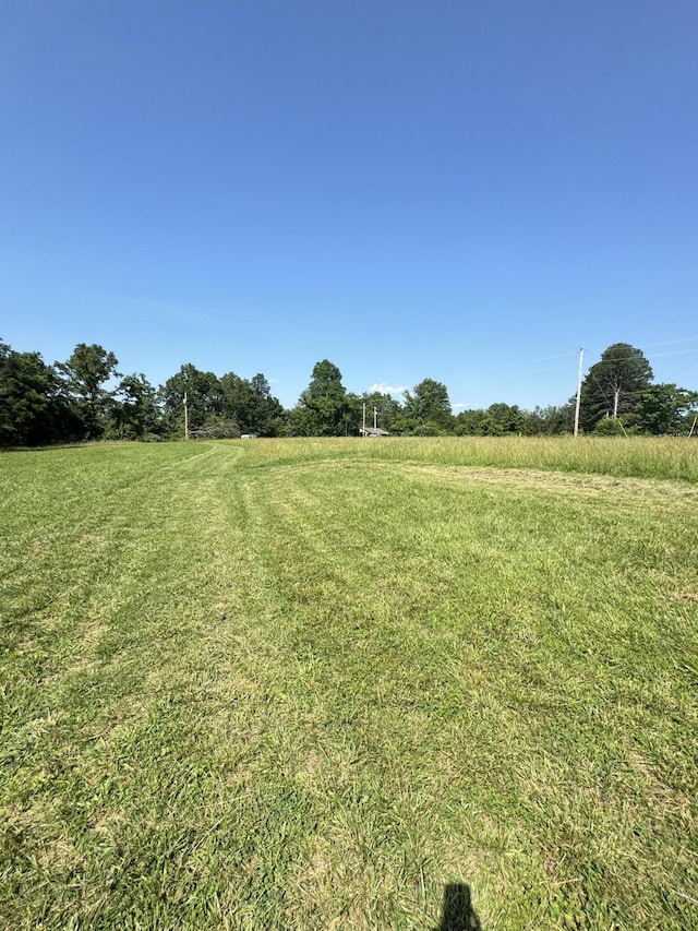 12 Willhoit Ln, Theodosia, MO 65761 - view of green lawn with a view of rural / pastoral area