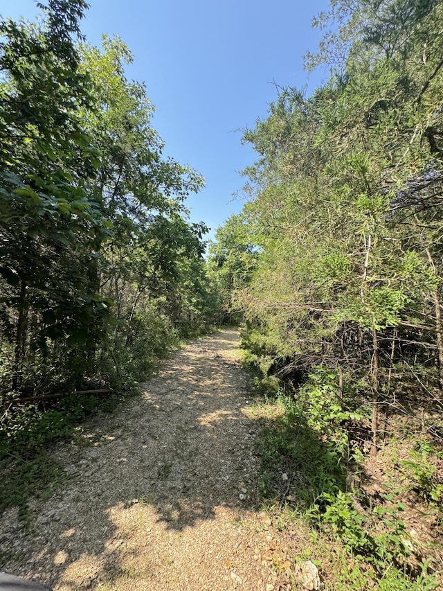 12 Willhoit Ln, Theodosia, MO 65761 - view of local wilderness