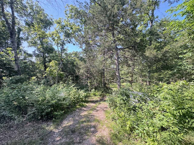 12 Willhoit Ln, Theodosia, MO 65761 - view of road featuring a wooded view