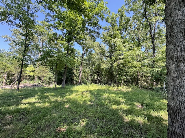12 Willhoit Ln, Theodosia, MO 65761 - view of wooded area