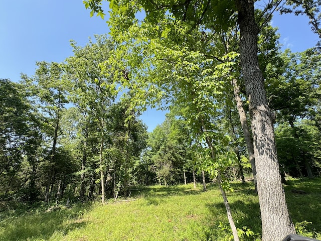 12 Willhoit Ln, Theodosia, MO 65761 - view of undeveloped land