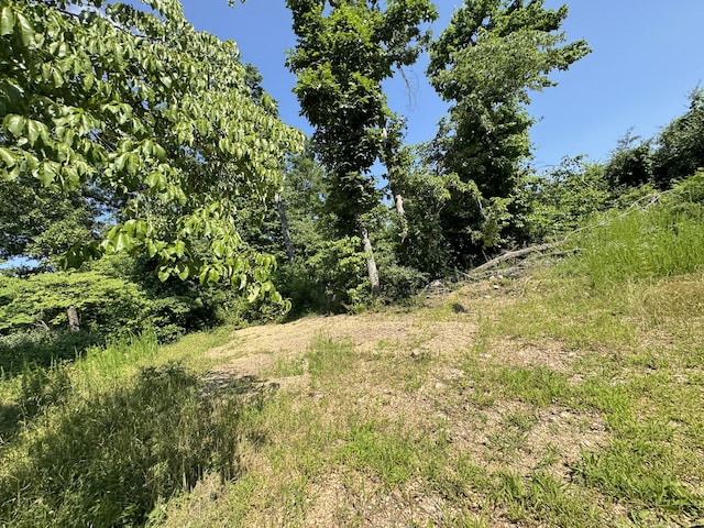 12 Willhoit Ln, Theodosia, MO 65761 - view of local wilderness