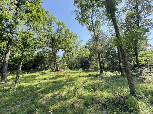 12 Willhoit Ln, Theodosia, MO 65761 - view of tree filled area
