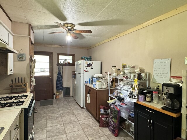 12 Willhoit Ln, Theodosia, MO 65761