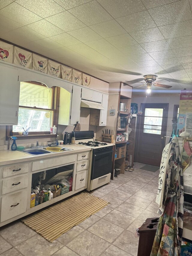 12 Willhoit Ln, Theodosia, MO 65761