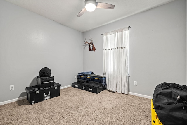 208 Dixie Ave, Clever, MO 65631 - misc room with ceiling fan and carpet floors