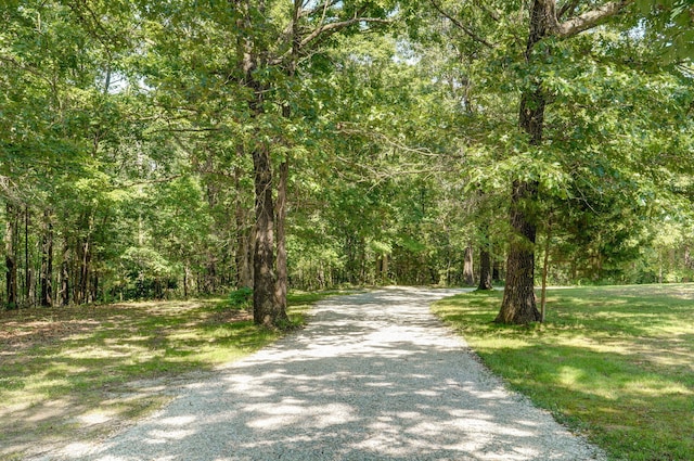 7607 N Angler Ln, Strafford, MO 65757 - view of road with a view of trees