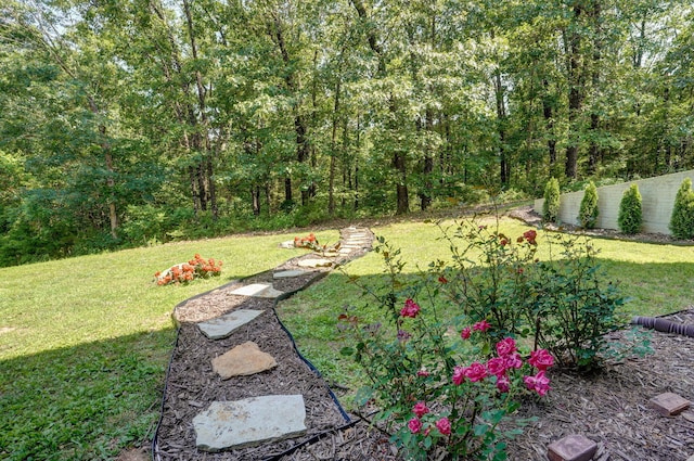 7607 N Angler Ln, Strafford, MO 65757 - view of yard