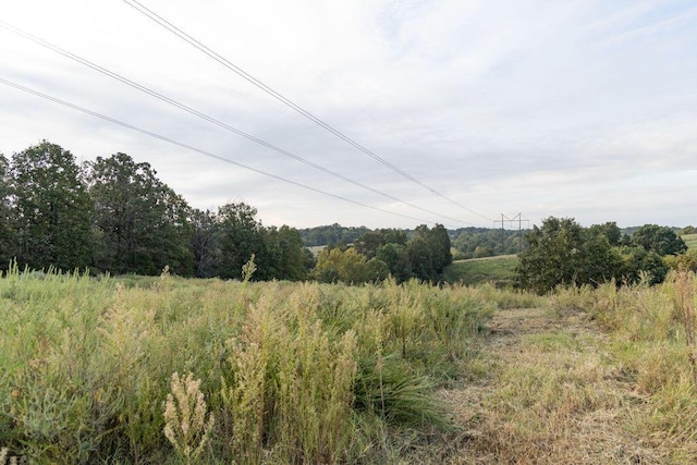 0000 Low Gap Rd, Noel, MO 64854