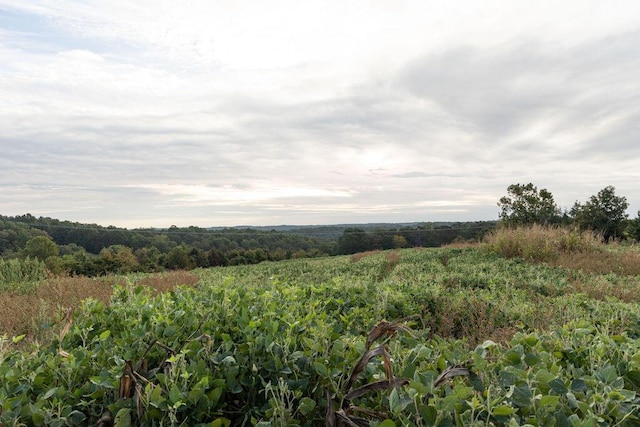 0000 Low Gap Rd, Noel, MO 64854
