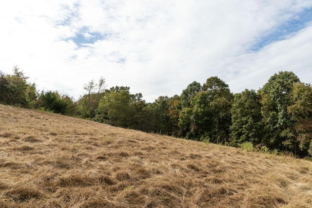 0000 Low Gap Rd, Noel, MO 64854