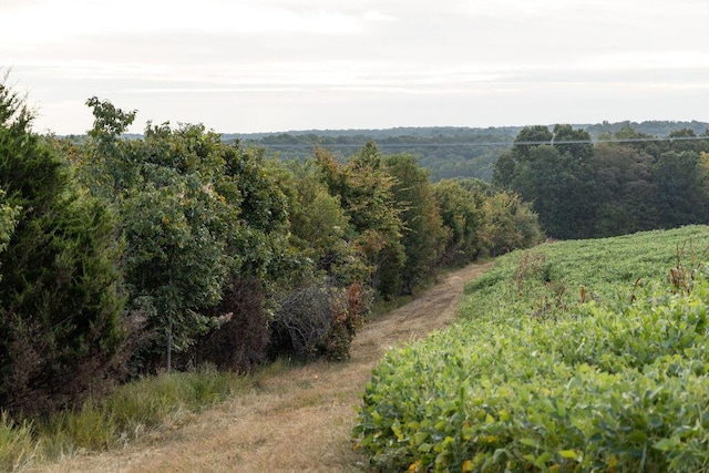 0000 Low Gap Rd, Noel, MO 64854