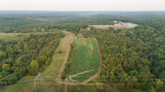 0000 Low Gap Rd, Noel, MO 64854