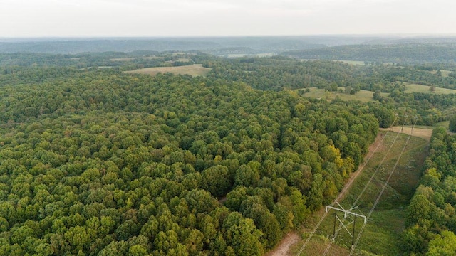 0000 Low Gap Rd, Noel, MO 64854