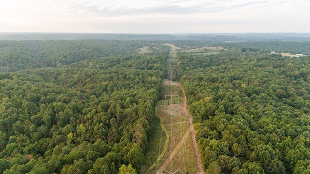 0000 Low Gap Rd, Noel, MO 64854
