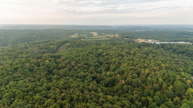 0000 Low Gap Rd, Noel, MO 64854
