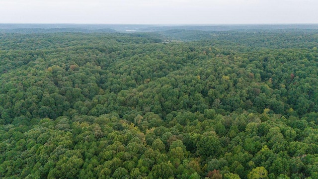 0000 Low Gap Rd, Noel, MO 64854