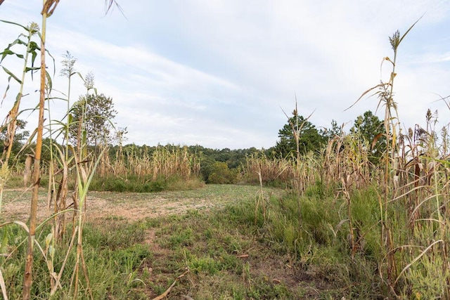 0000 Low Gap Rd, Noel, MO 64854
