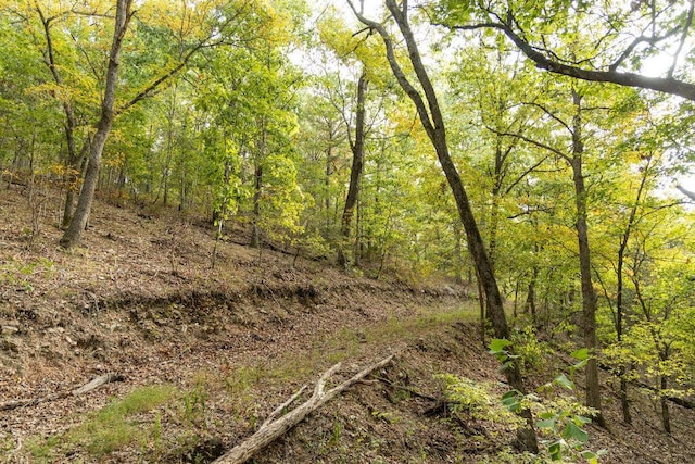 0000 Low Gap Rd, Noel, MO 64854