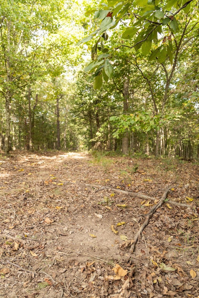 0000 Low Gap Rd, Noel, MO 64854