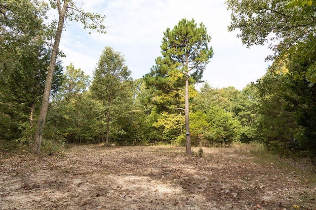 0000 Low Gap Rd, Noel, MO 64854