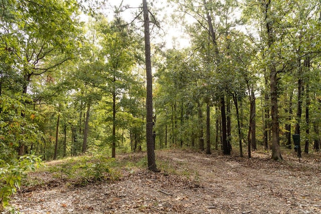 0000 Low Gap Rd, Noel, MO 64854