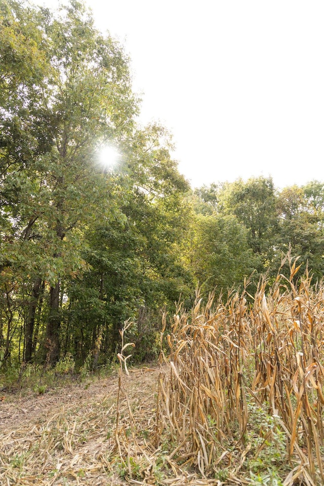 0000 Low Gap Rd, Noel, MO 64854