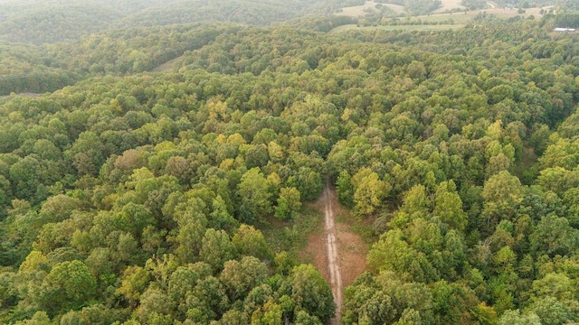 0000 Low Gap Rd, Noel, MO 64854