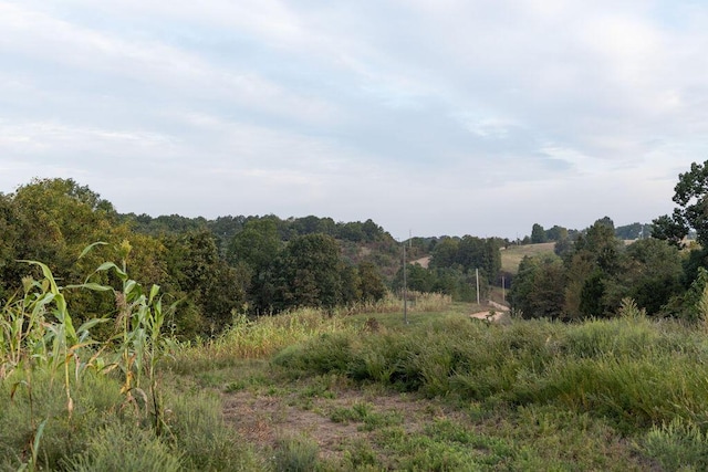 0000 Low Gap Rd, Noel, MO 64854