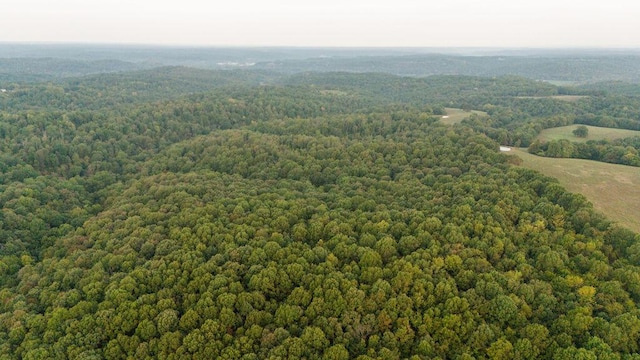 0000 Low Gap Rd, Noel, MO 64854