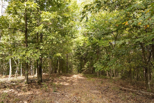 0000 Low Gap Rd, Noel, MO 64854