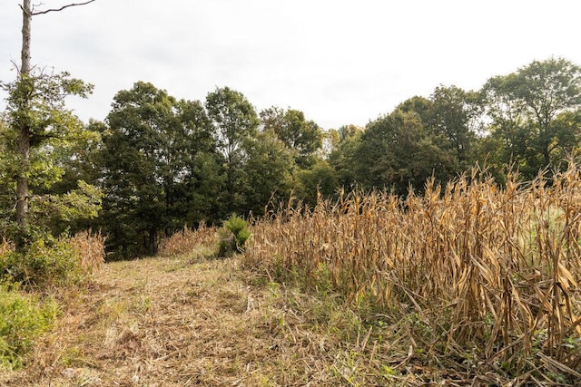 0000 Low Gap Rd, Noel, MO 64854