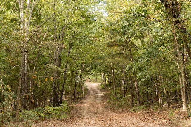 0000 Low Gap Rd, Noel, MO 64854