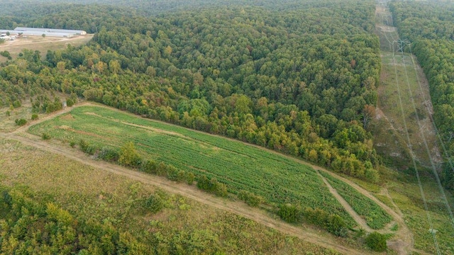 0000 Low Gap Rd, Noel, MO 64854