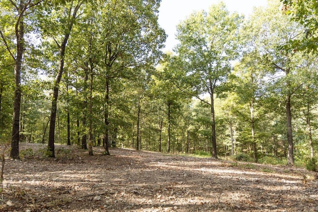 0000 Low Gap Rd, Noel, MO 64854