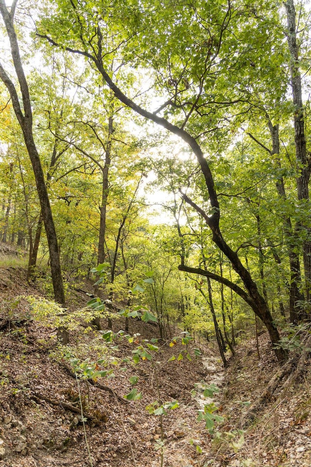 0000 Low Gap Rd, Noel, MO 64854