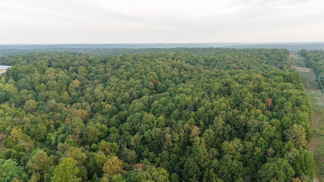0000 Low Gap Rd, Noel, MO 64854
