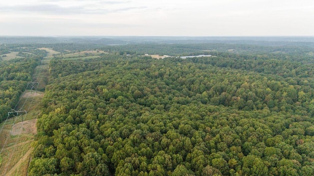 0000 Low Gap Rd, Noel, MO 64854