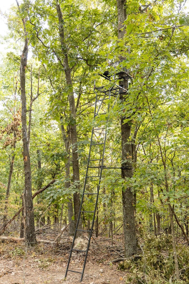 0000 Low Gap Rd, Noel, MO 64854