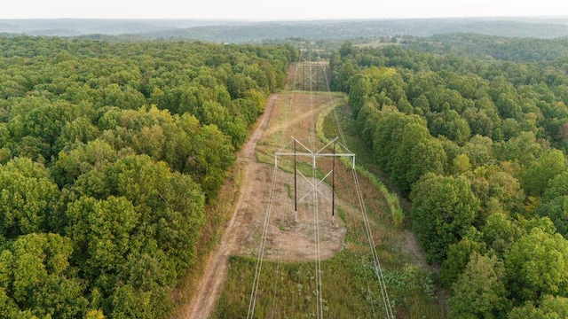 0000 Low Gap Rd, Noel, MO 64854