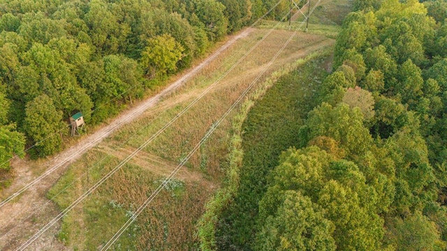 0000 Low Gap Rd, Noel, MO 64854