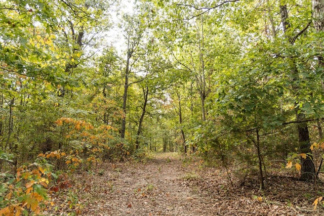 0000 Low Gap Rd, Noel, MO 64854