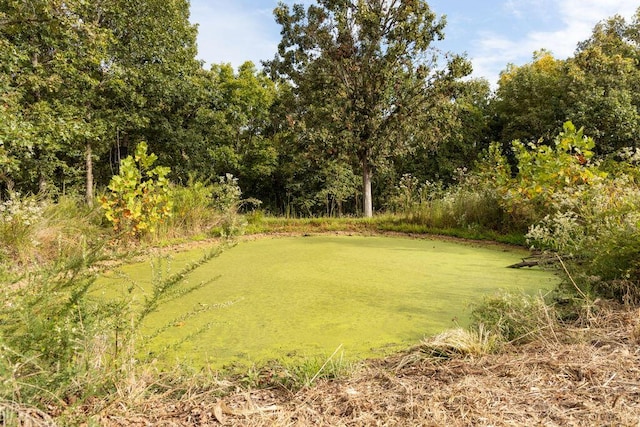 0000 Low Gap Rd, Noel, MO 64854