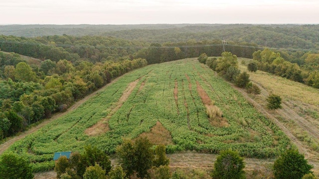 0000 Low Gap Rd, Noel, MO 64854